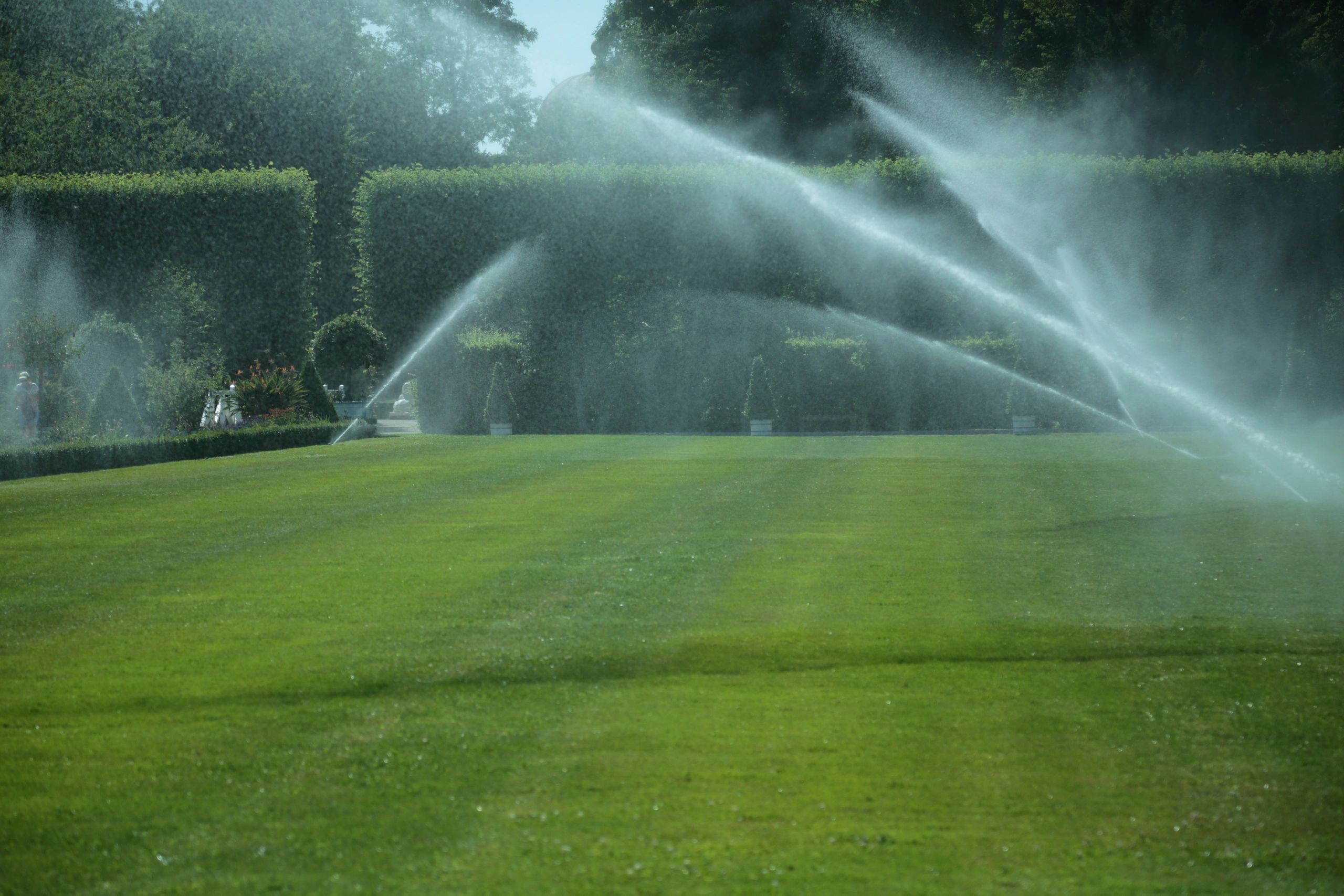 Professional irrigation design planning